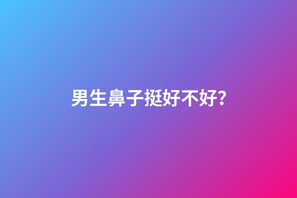 男生鼻子挺好不好？