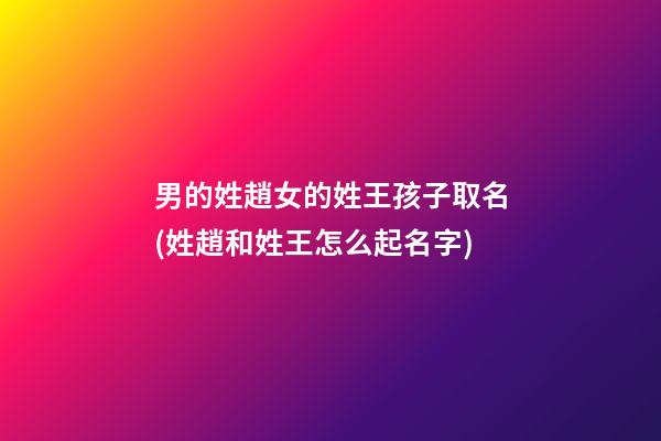 男的姓趙女的姓王孩子取名(姓趙和姓王怎么起名字)