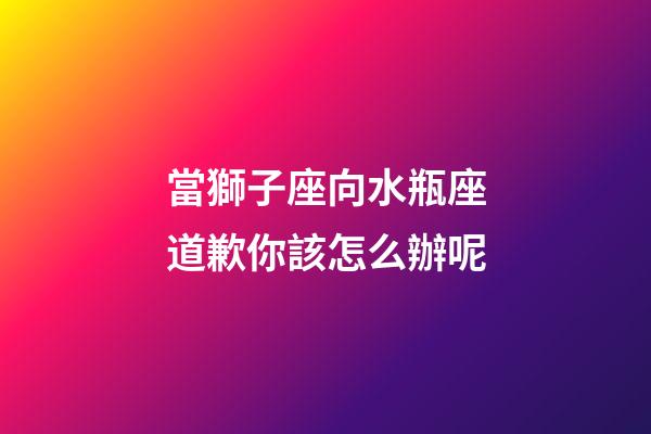 當獅子座向水瓶座道歉你該怎么辦呢-第1張-星座運勢-玄機派