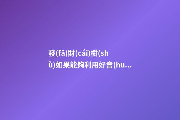 發(fā)財(cái)樹(shù)如果能夠利用好會(huì)對(duì)你運(yùn)勢(shì)有幫助