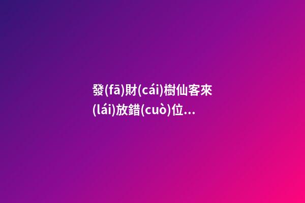 發(fā)財(cái)樹仙客來(lái)放錯(cuò)位置“不吉利”，正確擺放地方你清楚嗎？