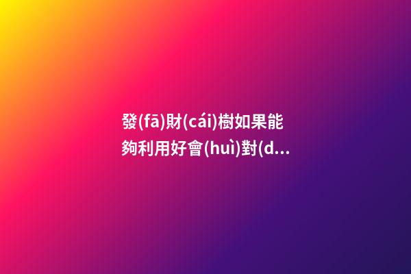 發(fā)財(cái)樹如果能夠利用好會(huì)對(duì)你運(yùn)勢(shì)有幫助