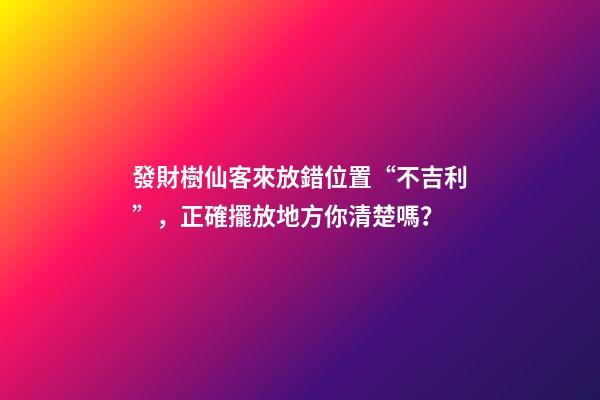 發財樹仙客來放錯位置“不吉利”，正確擺放地方你清楚嗎？
