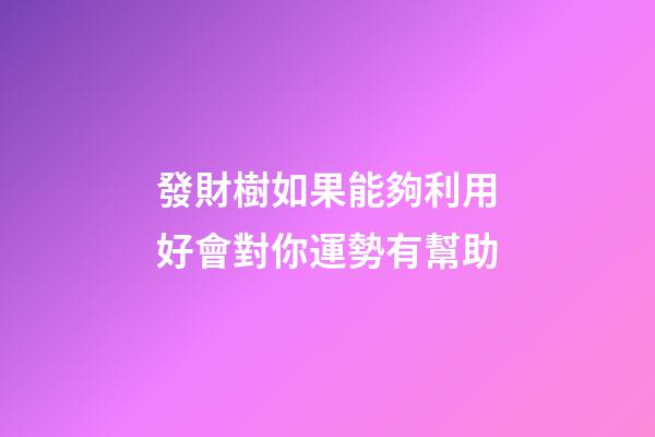 發財樹如果能夠利用好會對你運勢有幫助