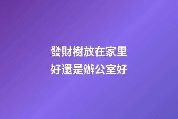 發財樹放在家里好還是辦公室好