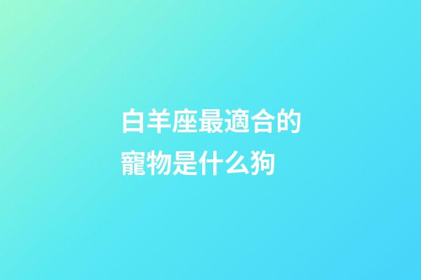 白羊座最適合的寵物是什么狗-第1張-星座運勢-玄機派