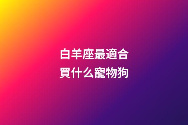 白羊座最適合買什么寵物狗-第1張-星座運勢-玄機派