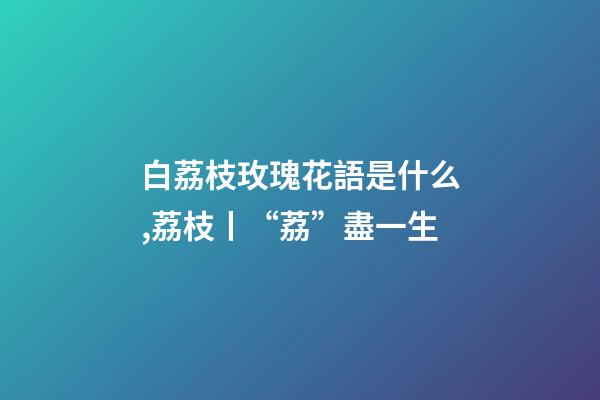 白荔枝玫瑰花語是什么,荔枝丨“荔”盡一生-第1張-觀點-玄機派