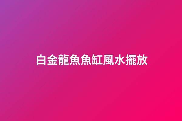 白金龍魚魚缸風水擺放