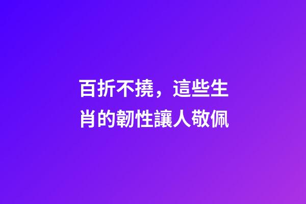 百折不撓，這些生肖的韌性讓人敬佩