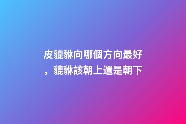 皮貔貅向哪個方向最好，貔貅該朝上還是朝下-第1張-觀點-玄機派