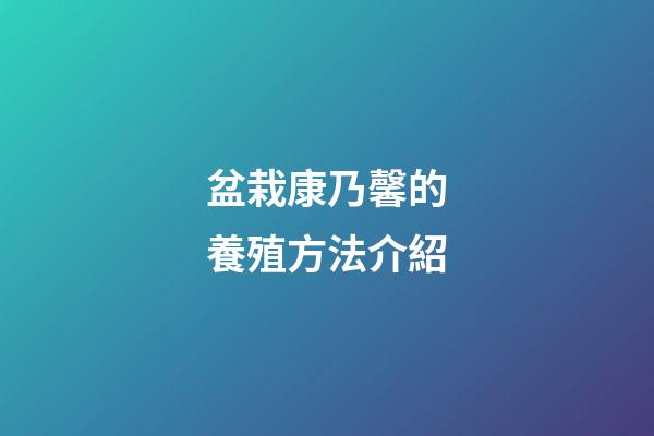 盆栽康乃馨的養殖方法介紹