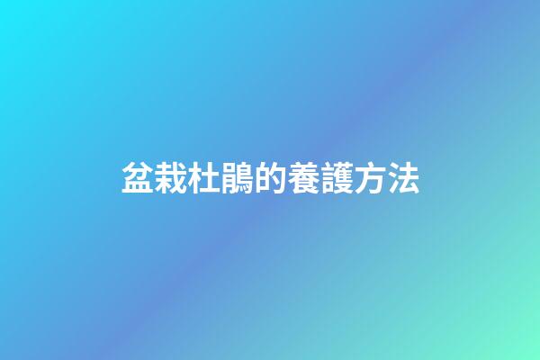 盆栽杜鵑的養護方法