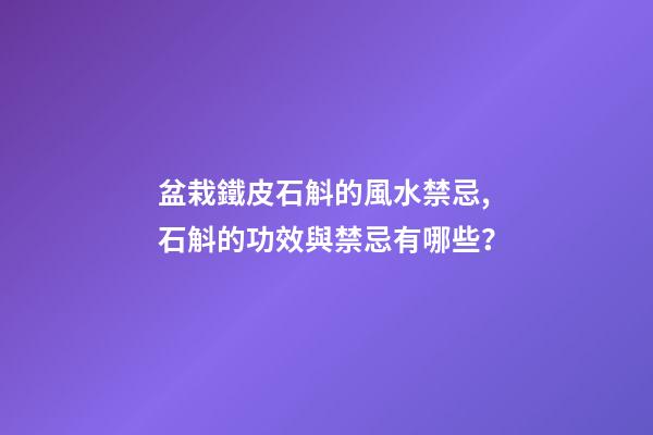 盆栽鐵皮石斛的風水禁忌,石斛的功效與禁忌有哪些？