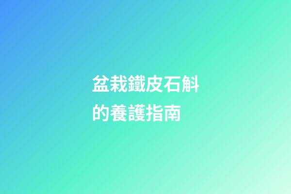 盆栽鐵皮石斛的養護指南