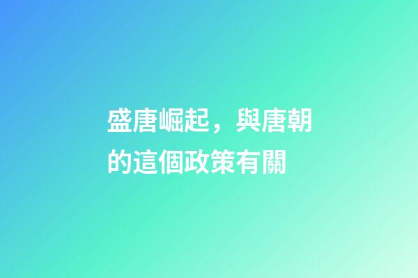 盛唐崛起，與唐朝的這個政策有關-第1張-觀點-玄機派