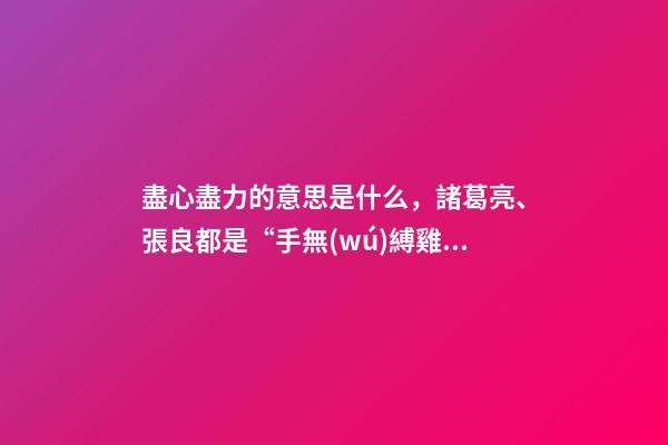 盡心盡力的意思是什么，諸葛亮、張良都是“手無(wú)縛雞之力”的謀士-第1張-觀點(diǎn)-玄機(jī)派