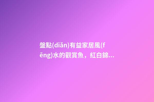 盤點(diǎn)有益家居風(fēng)水的觀賞魚，紅白錦鯉能旺財(cái)