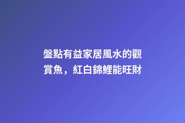 盤點有益家居風水的觀賞魚，紅白錦鯉能旺財