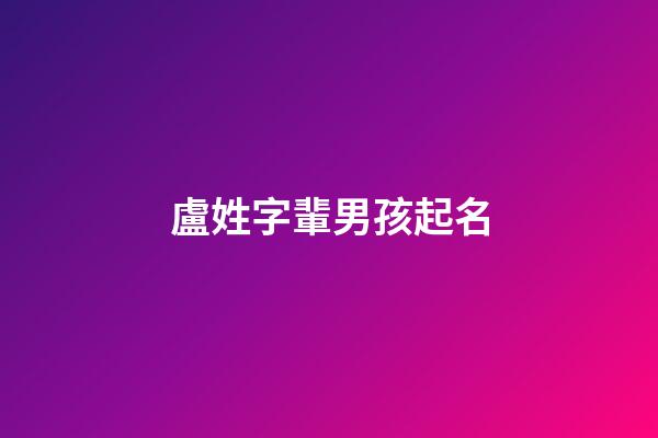 盧姓字輩男孩起名(盧姓男孩起名大全2023)-第1張-男孩起名-玄機(jī)派