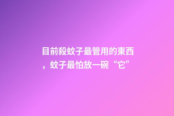 目前殺蚊子最管用的東西，蚊子最怕放一碗“它”-第1張-觀點-玄機派