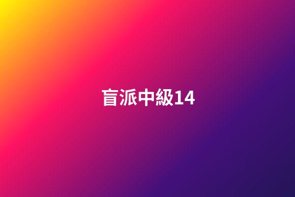 盲派中級14