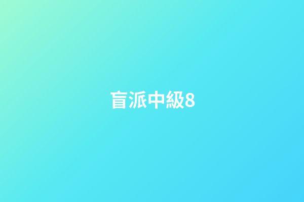 盲派中級8