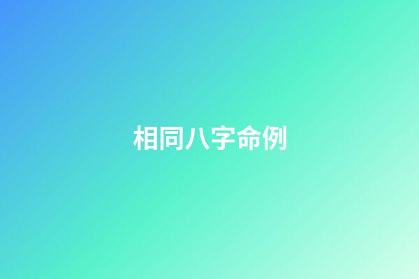 相同八字命例