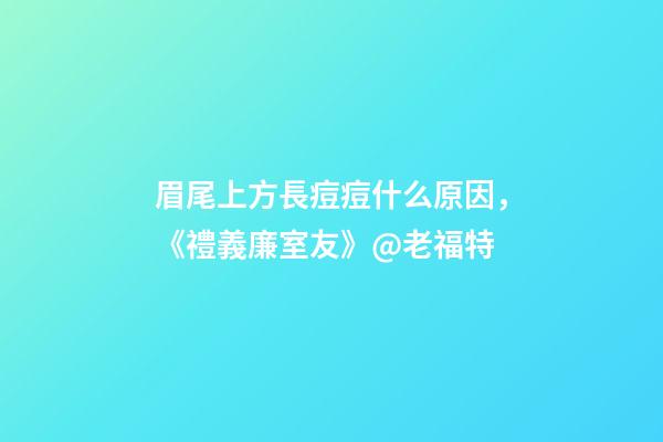 眉尾上方長痘痘什么原因，《禮義廉室友》@老福特-第1張-觀點-玄機派