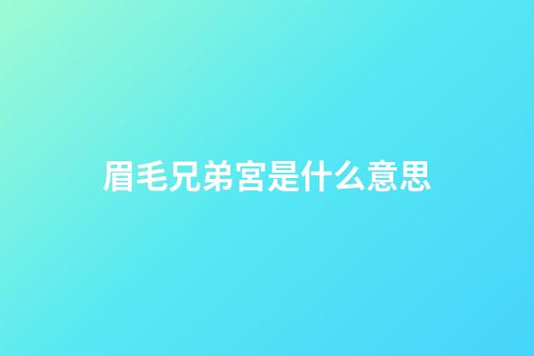 眉毛兄弟宮是什么意思