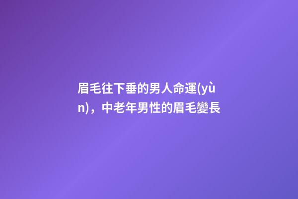 眉毛往下垂的男人命運(yùn)，中老年男性的眉毛變長-第1張-觀點(diǎn)-玄機(jī)派