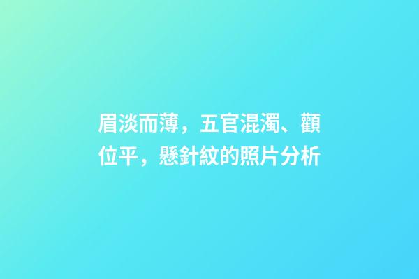 眉淡而薄，五官混濁、顴位平，懸針紋的照片分析