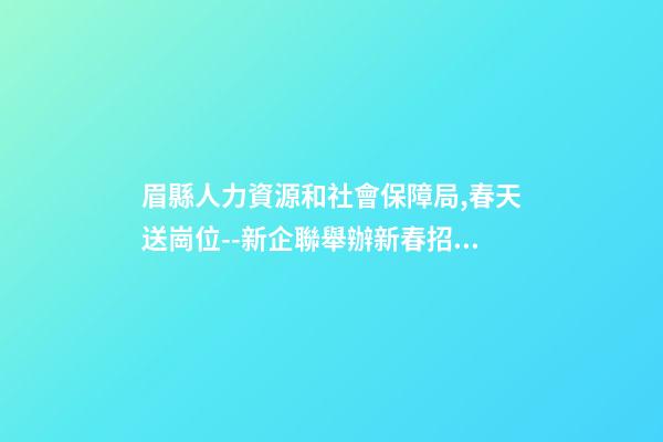眉縣人力資源和社會保障局,春天送崗位--新企聯舉辦新春招聘會-第1張-觀點-玄機派