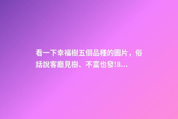 看一下幸福樹五個品種的圖片，俗話說客廳見樹、不富也發!8種吉祥樹