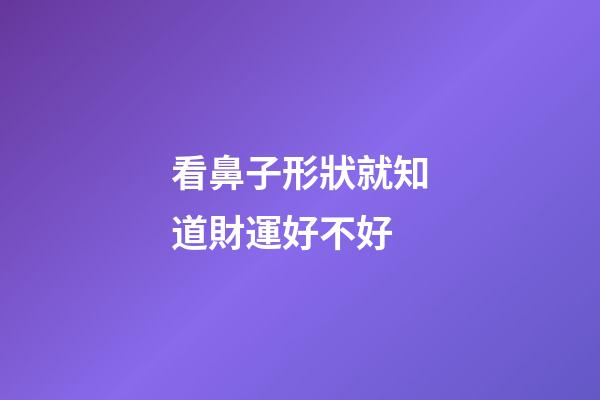 看鼻子形狀就知道財運好不好