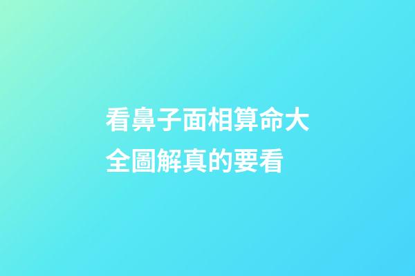 看鼻子面相算命大全圖解真的要看
