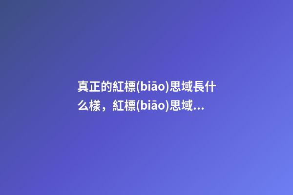真正的紅標(biāo)思域長什么樣，紅標(biāo)思域真的來了-第1張-觀點(diǎn)-玄機(jī)派