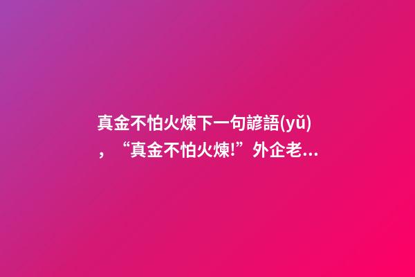 真金不怕火煉下一句諺語(yǔ)，“真金不怕火煉!”外企老總寄語(yǔ)中國(guó)經(jīng)濟(jì)-第1張-觀(guān)點(diǎn)-玄機(jī)派