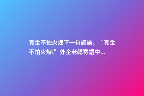 真金不怕火煉下一句諺語，“真金不怕火煉!”外企老總寄語中國經濟-第1張-觀點-玄機派