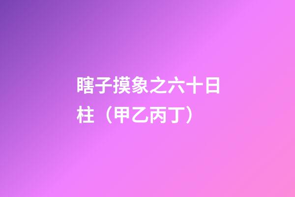 瞎子摸象之六十日柱（甲乙丙丁）