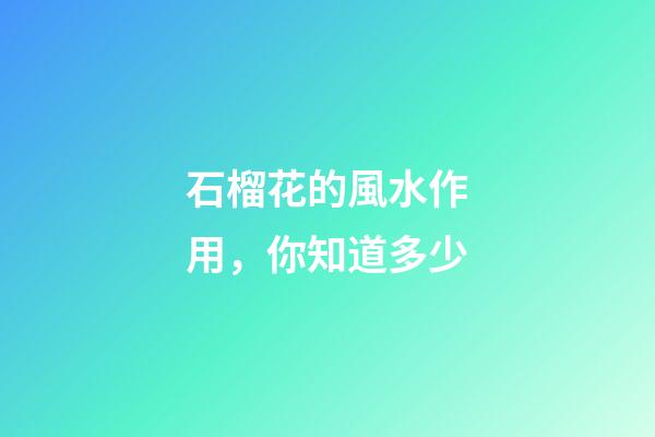 石榴花的風水作用，你知道多少