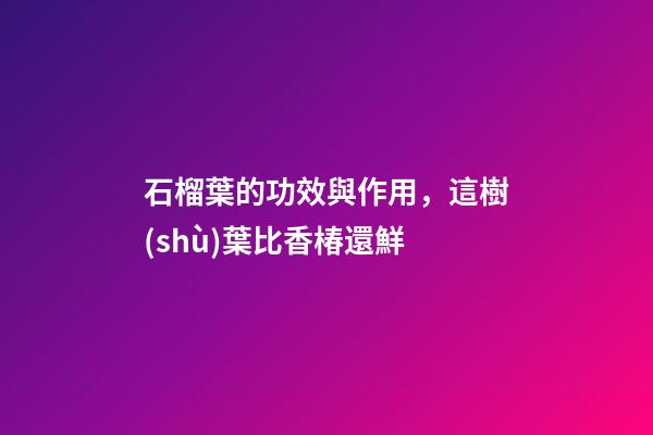 石榴葉的功效與作用，這樹(shù)葉比香椿還鮮-第1張-觀點(diǎn)-玄機(jī)派