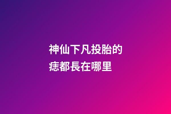 神仙下凡投胎的痣都長在哪里
