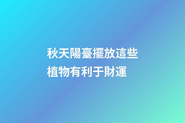 秋天陽臺擺放這些植物有利于財運