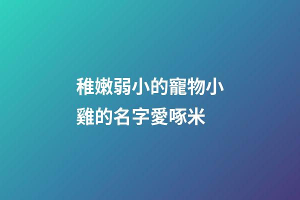 稚嫩弱小的寵物小雞的名字愛啄米