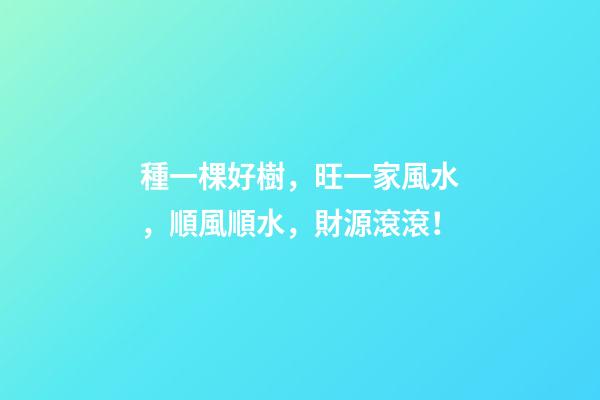 種一棵好樹，旺一家風水，順風順水，財源滾滾！