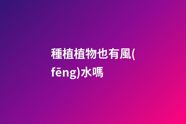 種植植物也有風(fēng)水嗎