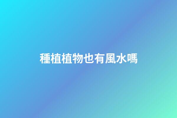 種植植物也有風水嗎