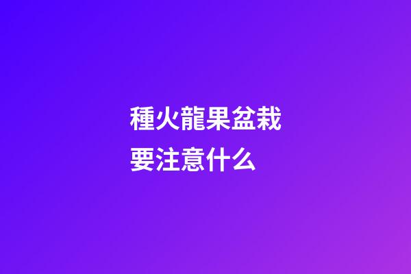 種火龍果盆栽要注意什么