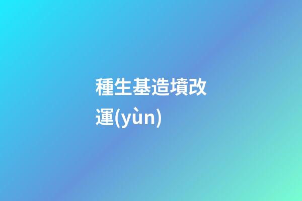 種生基造墳改運(yùn)